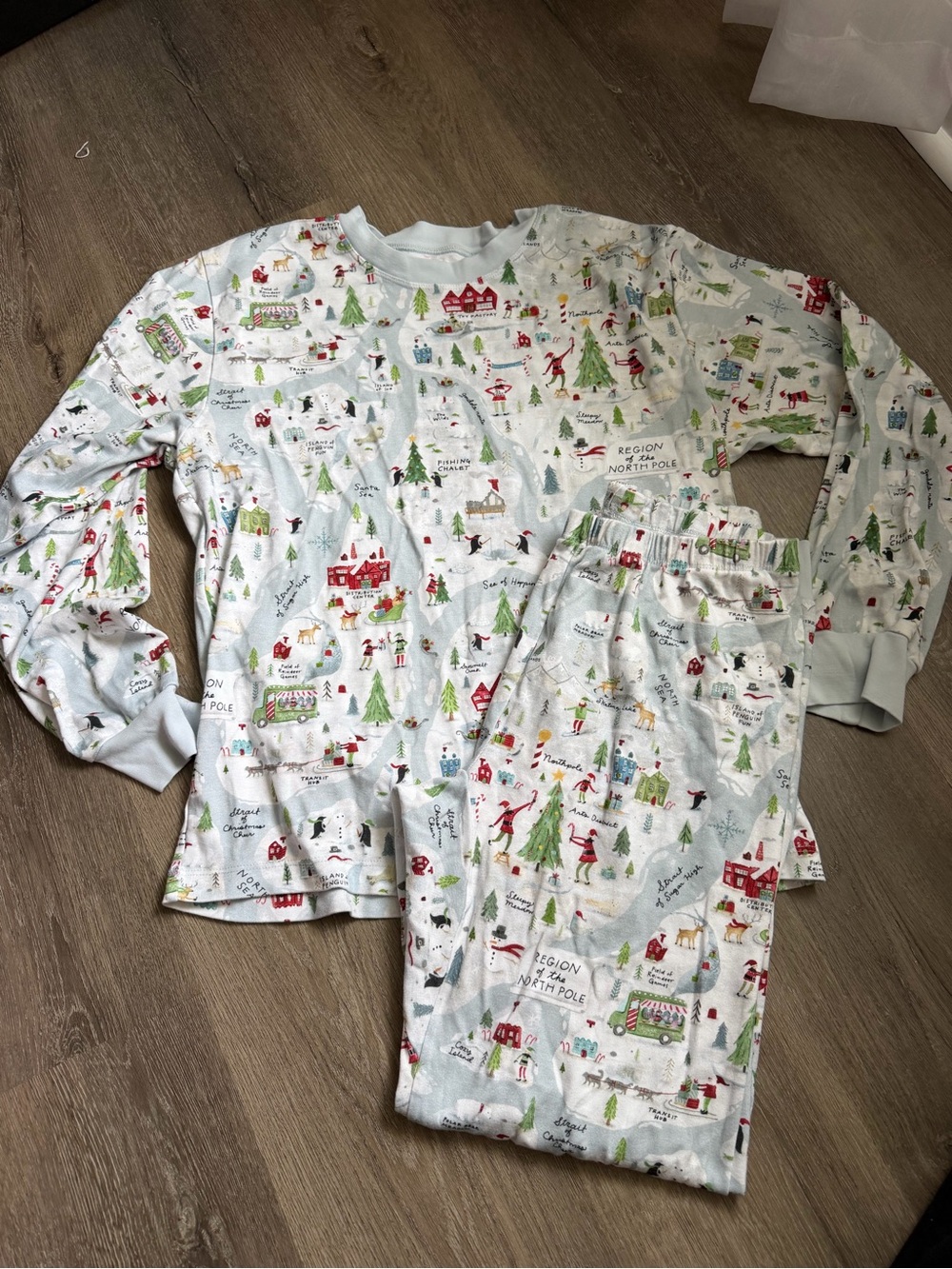 Pottery Barn Christmas Pajama Set